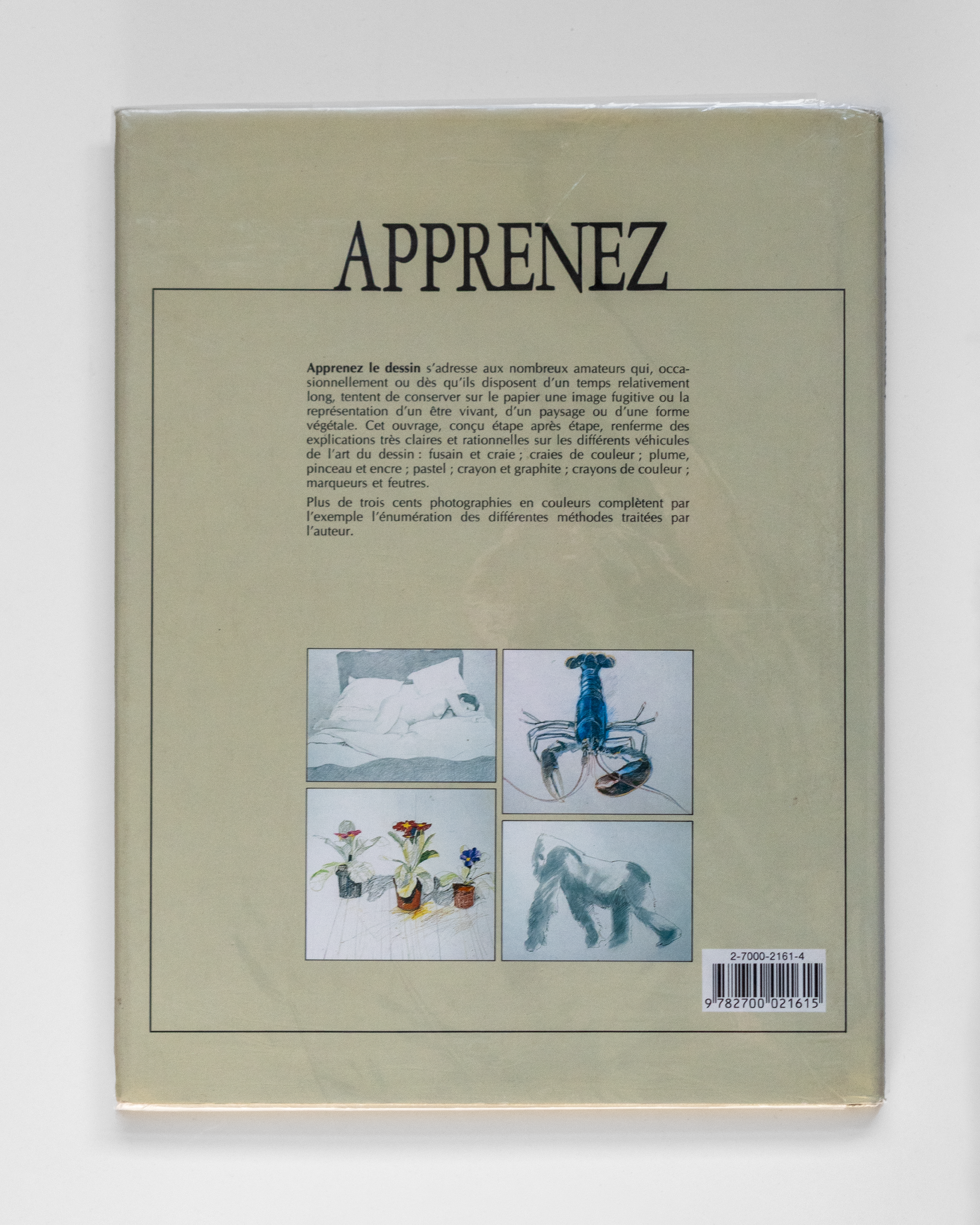 Apprenez le Dessin